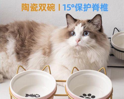 猫妈妈生小猫后开始乱拉，该如何应对（以宠物为主）