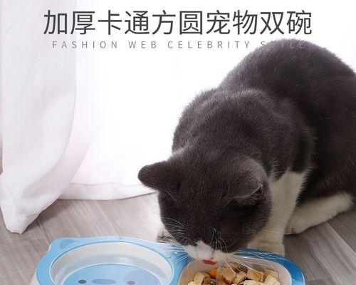 猫妈妈生小猫后开始乱拉，该如何应对（以宠物为主）