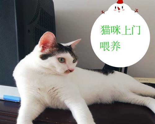 以猫生小猫是一次生完吗（宠物猫的繁殖周期）