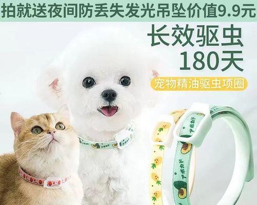 如何除掉猫身上的跳蚤（宠物主人必看的跳蚤防治指南）