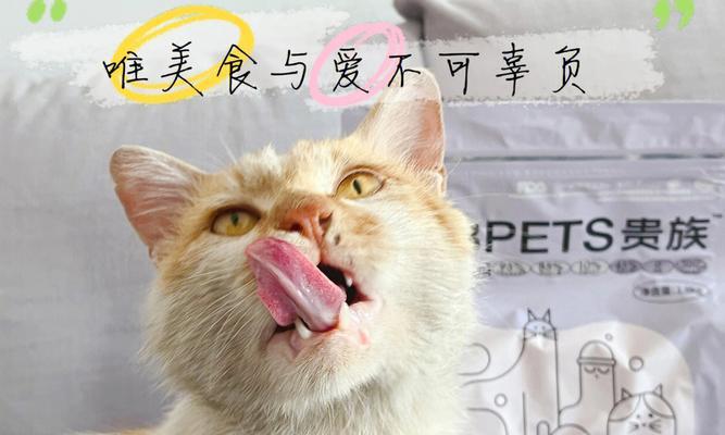 如何让宠物猫克服胃口不好的问题（解决宠物猫食欲低下的有效方法）