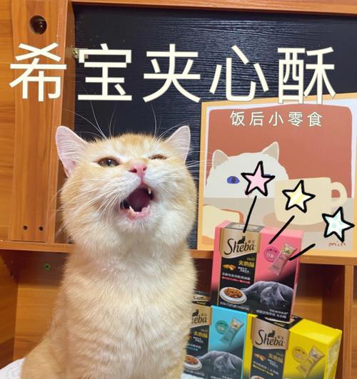 如何让宠物猫克服胃口不好的问题（解决宠物猫食欲低下的有效方法）