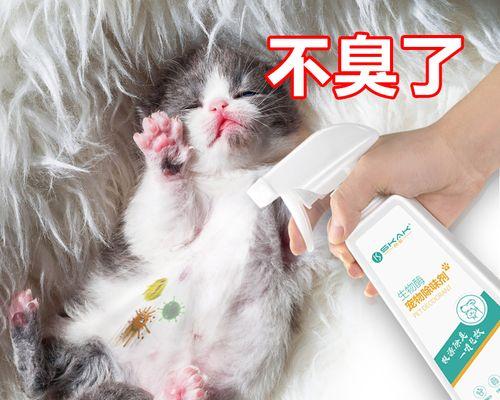 猫砂使用量调查——揭秘猫咪一天需要多少猫砂（探究猫咪大小）