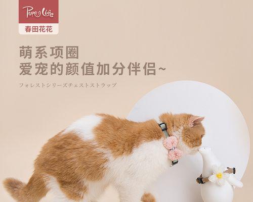 以猫捉猫咪，猫咪爪啥进（探究猫咪的狩猎本能与宠物生活的平衡）