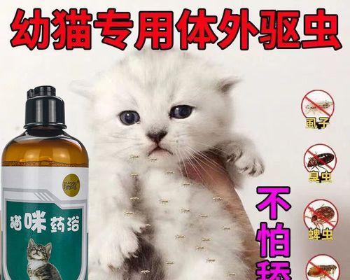 以猫藓为药，如何治疗猫咪的疾病（猫藓的功效）