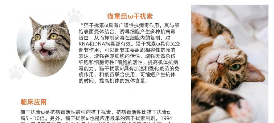 猫咪白细胞少，如何应对（解析宠物猫咪白细胞少现象）