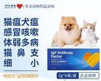 猫咪鼻支出现问题怎么办（以猫咪鼻支吃什么药为主题的解决方案）