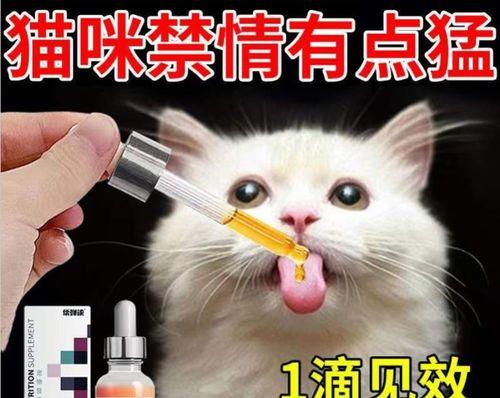 如何选择适合猫咪的避孕药（了解猫咪避孕药的品牌和成分）