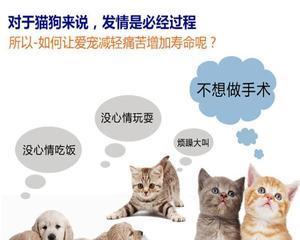 如何选择适合猫咪的避孕药（了解猫咪避孕药的品牌和成分）