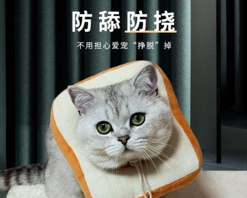 猫咪脖子为什么那么敏感（探究猫咪脖子敏感的原因和特点）