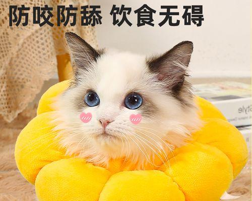 猫咪脖子为什么那么敏感（探究猫咪脖子敏感的原因和特点）