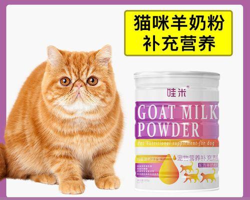 猫咪哺乳期呕吐的原因与解决方法（宠物猫咪的健康怎么保障）