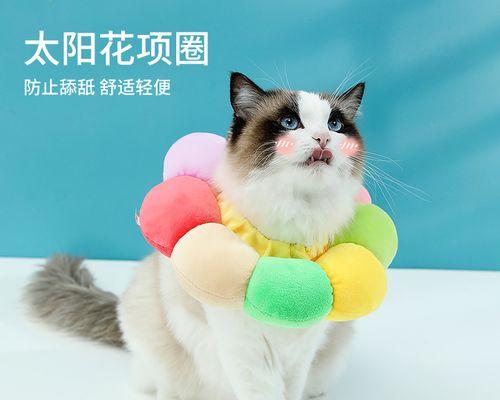 宠物猫咪不爱带伊丽莎白圈，这是为什么（探究猫咪不愿意带伊丽莎白圈的原因及解决方法）