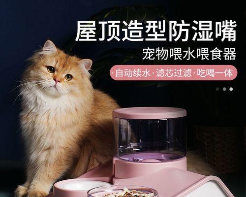 猫咪不吃东西不喝水怎么办（探究猫咪食欲不振的原因和解决方法）