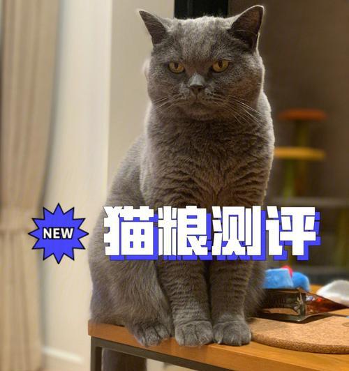 猫咪挑食不吃肝处方粮怎么办（宠物猫咪的饮食健康问题与解决方法）