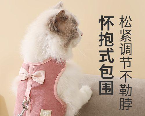 怎样让不喜欢抱猫的猫咪接受拥抱？