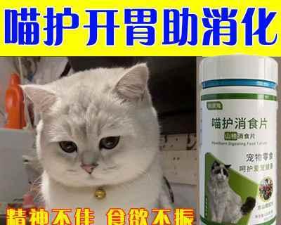 猫咪产后没食欲怎么办（宠物主人必读的喂食指南）