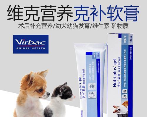 宠物猫咪产后营养品增奶指南（营养品选择、使用方法和注意事项）