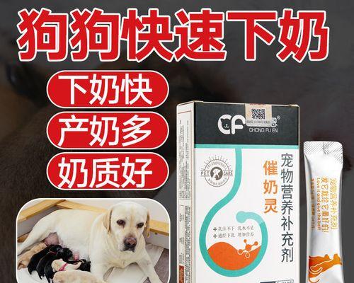 宠物猫咪产后营养品增奶指南（营养品选择、使用方法和注意事项）