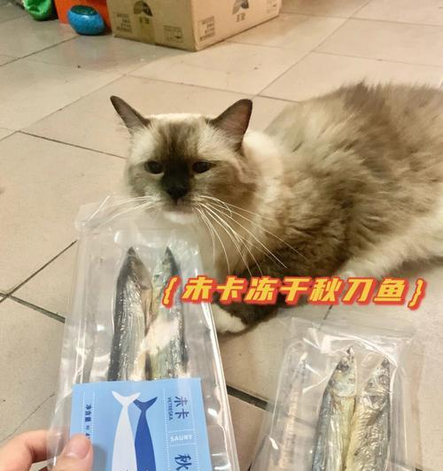 秋刀鱼喂猫咪的正确方法（以宠物为主）