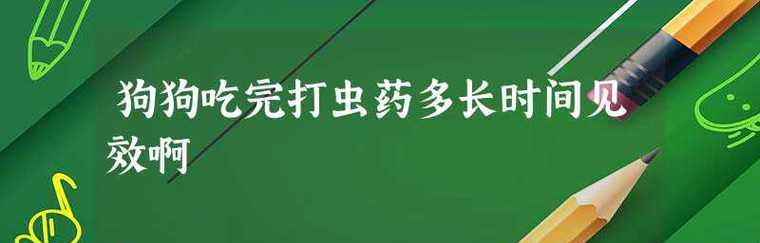 宠物养护必备——内虫清的正确使用方法（保护爱宠健康）