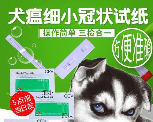 犬瘟病毒疫苗对狗狗产生抗体的重要性（宠物保健中不可或缺的一环）