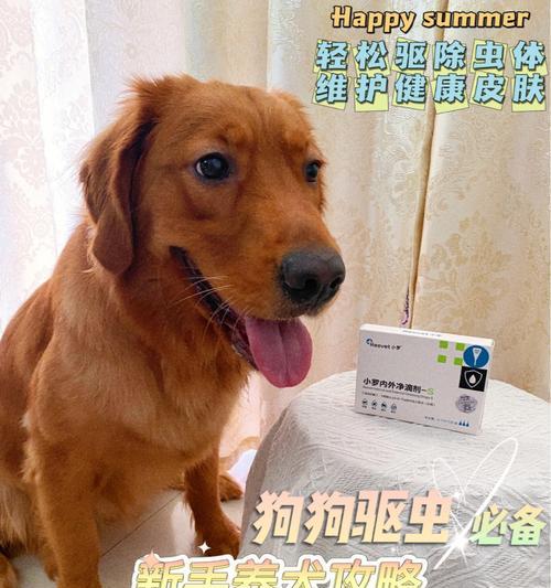 狗狗误食驱虫药后怎么办（以宠物为主）