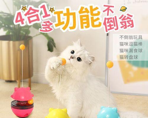 DIY小猫玩具的制作方法（自己动手打造宠物的）