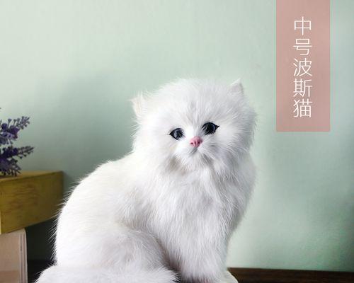 DIY小猫玩具的制作方法（自己动手打造宠物的）