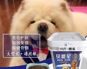 萨摩幼犬的狗粮推荐（选购宠物狗粮需要注意什么）