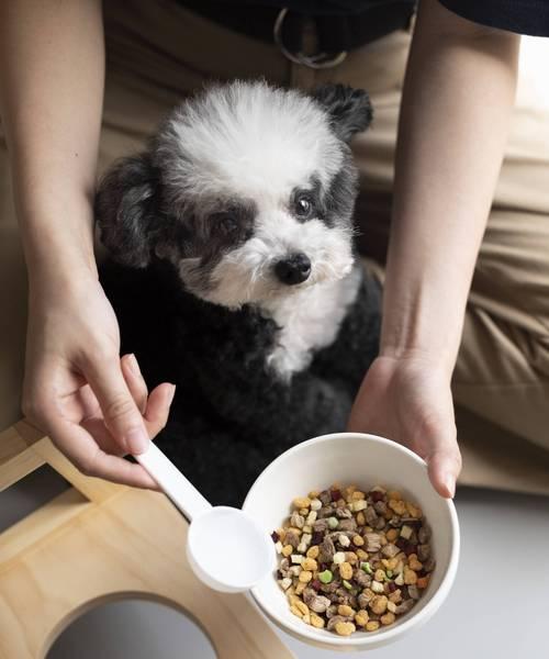 一杯狗粮等于多少克（揭开宠物食物计量的迷雾）