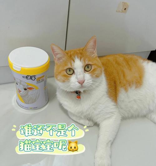 猫咪每天喝多少羊奶合适？