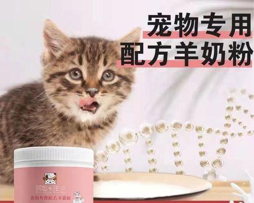 猫咪挠出血怎么办（教你应对猫咪挠痒症的技巧和方法）