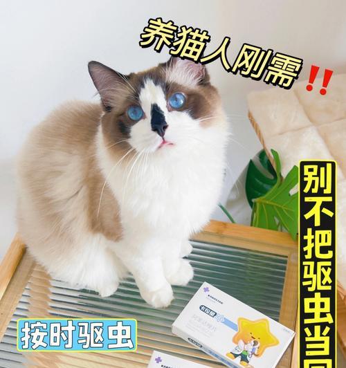 猫咪一月龄能否带驱虫环（宠物养护知识分享）