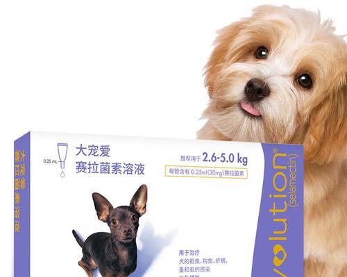 宠物犬犬断奶后驱虫必知（如何安全有效地驱虫）