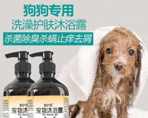 狗狗脚起茧的原因、治疗和预防方法详解（宠物犬脚起茧的危害）