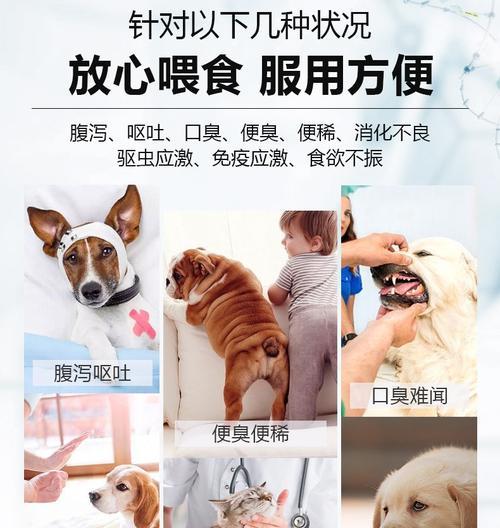 狗狗拉稀怎么办（缓解狗狗拉稀的10种药品及使用注意事项）