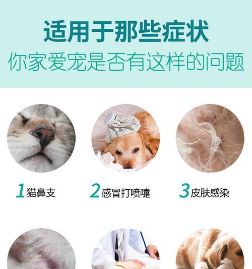 宠物犬误食阿莫西林的应对措施（如何保障狗狗的健康与安全）