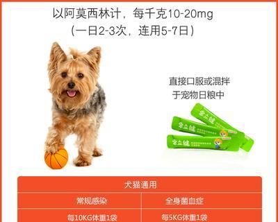 宠物犬误食阿莫西林的应对措施（如何保障狗狗的健康与安全）