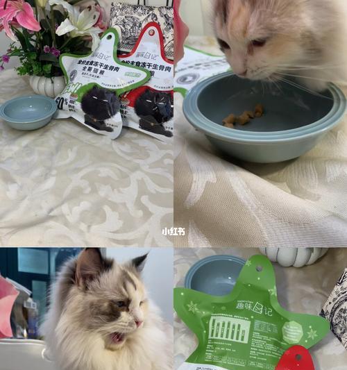 猫咪恢复期的饮食指南（宠物猫咪的营养需求和恢复期所需食物）