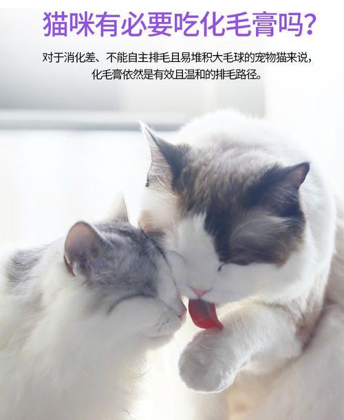 猫咪拉稀，怎么办（营养膏救星）