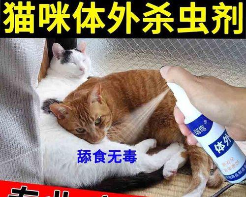 猫咪驱虫滴剂使用指南（为爱宠护航——猫咪驱虫滴剂的正确使用方法）