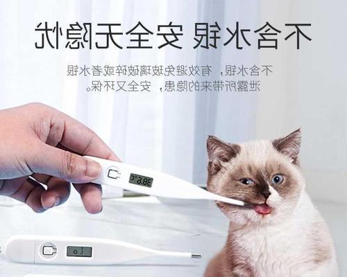 如何处理猫咪体温过低的情况（了解猫咪体温）