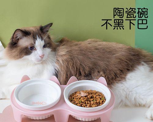 猫咪小便黄是怎么回事（了解宠物小便健康问题）