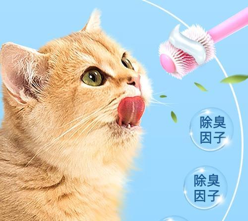 猫咪咬线牙膏，安全可行的牙齿清洁方法（以宠物为主）