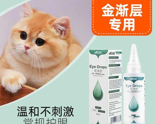 猫咪必须吃的药品知识（掌握这些药品知识）