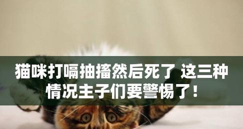 猫咪中毒前的症状与预防方法（让你的爱猫远离中毒危险）