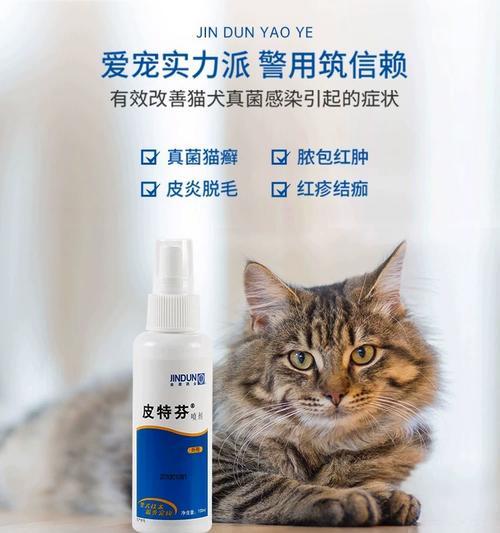 如何治疗人感染猫癣（以宠物为主）