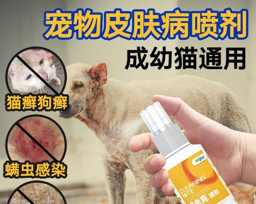 如何治疗人感染猫癣（以宠物为主）