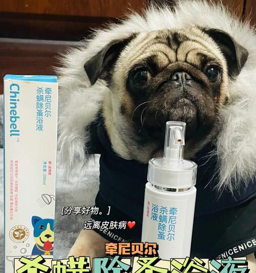 如何有效治疗宠物狗的螨虫（以天然方法保健你的爱犬）